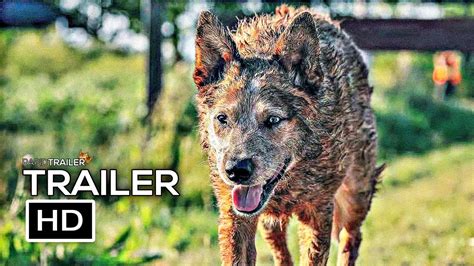 PET SEMATARY: BLOODLINES Official Trailer (2023) Horror .